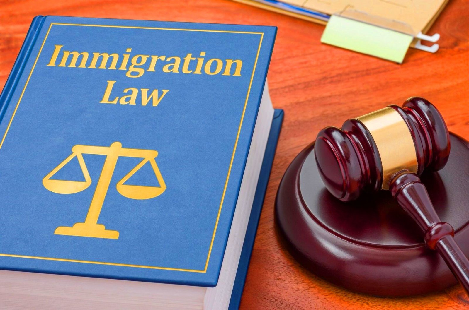 Immigration Law