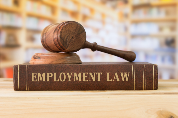 Employment Attorneys