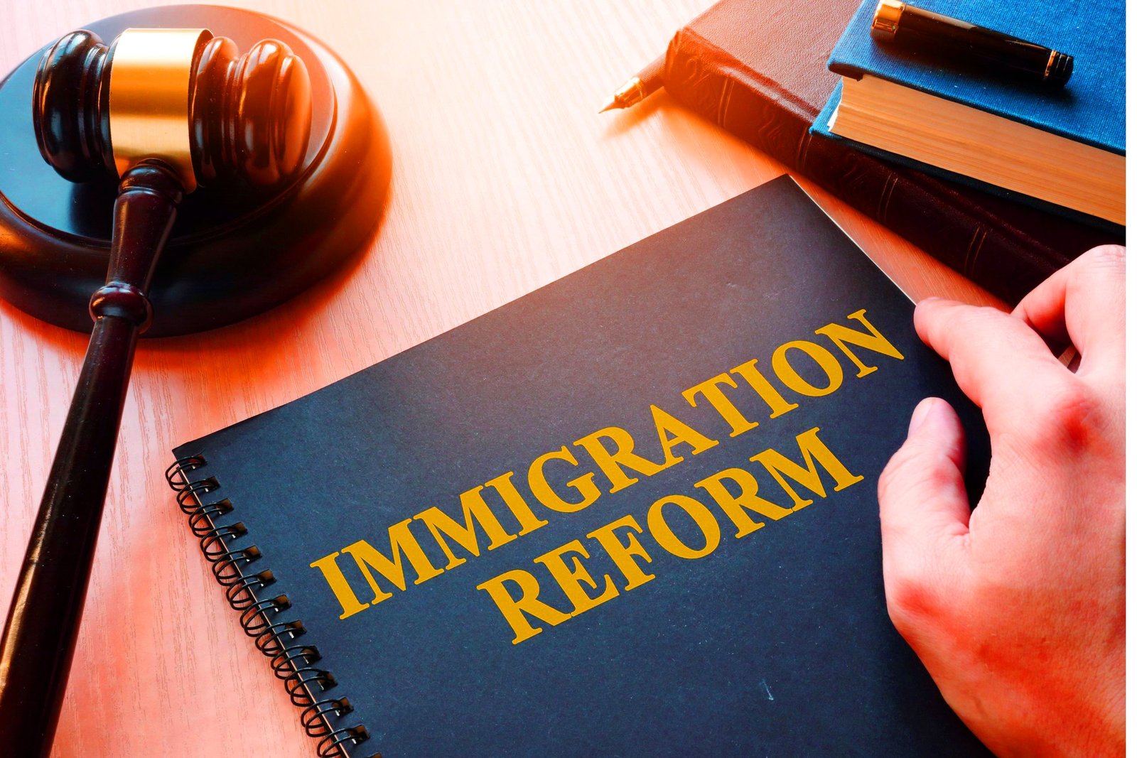 Reforms to Immigration Policy and Developments