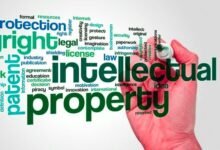 Global Perspectives on Intellectual Property Protection