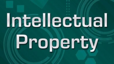 Entrepreneurship and Intellectual Property: Understanding the Law
