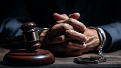 Criminal Appeal Lawyers in Gwinnett County